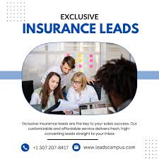 Health Insurance Leads : Mastering the Art of Generating Quality Leads