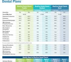 Blue Shield Dental Insurance: Your Guide to Affordable Coverage